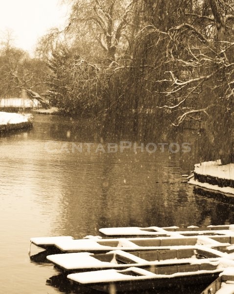Snowy punts : Mill Pond